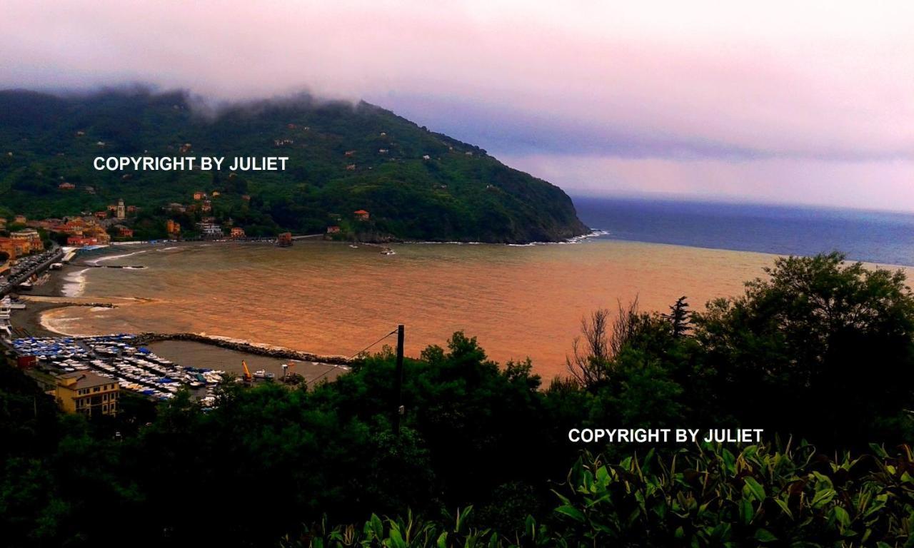Juliet - Apartment In Liguria 5 Terre Unesco Site Levanto Zewnętrze zdjęcie